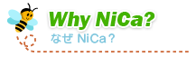 Why NiCa?@ȂNiCa?